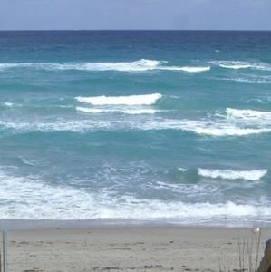 Meet your Posher, Rhonda